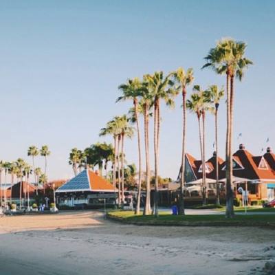 大发彩票手机app下载截图